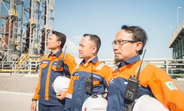 Environmentally Friendly, This Is JIIPE's East Java Industrial Estate's Efforts to Make It Happen